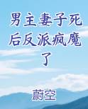 男主妻子死后反派疯魔了的小说