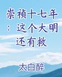 崇祯十七年：这个大明还有救